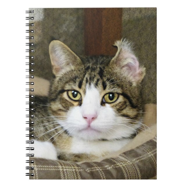 Caderno Espiral Capturado (Frente)
