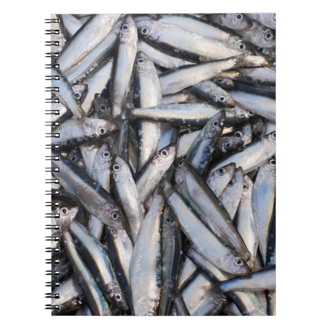 Caderno Espiral Capturas (Frente)