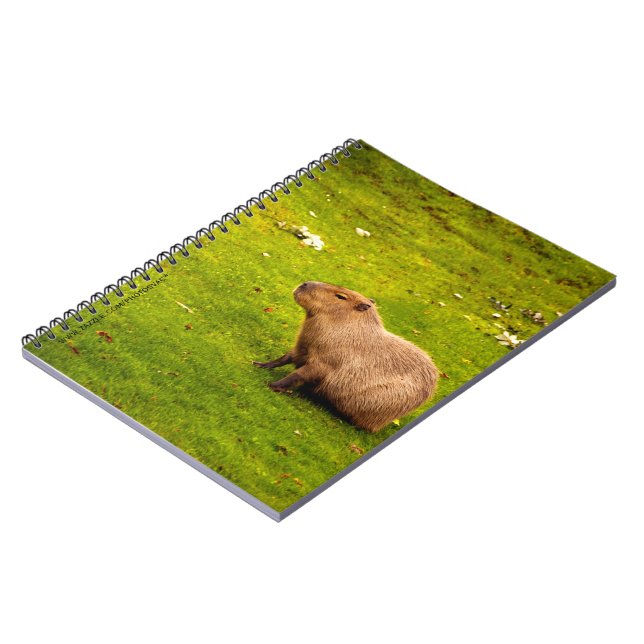 Caderno Espiral Capybara (Left Side)