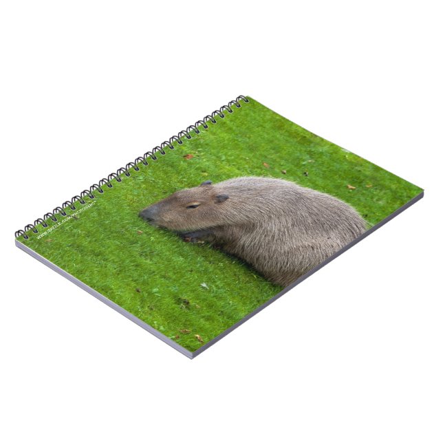 Caderno Espiral Capybara Animal Incrível (Left Side)