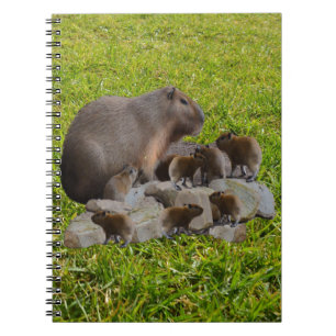 Caderno Espiral Capybara Mummy Com Bebês, Notebook