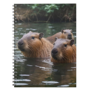 Caderno Espiral Capybaras Nadando No Rio,