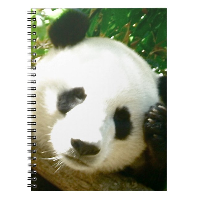 Caderno Espiral Cara da panda (Frente)