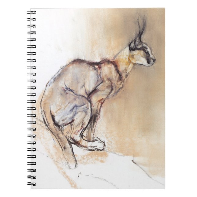 Caderno Espiral Caracal assentado 2009 (Frente)