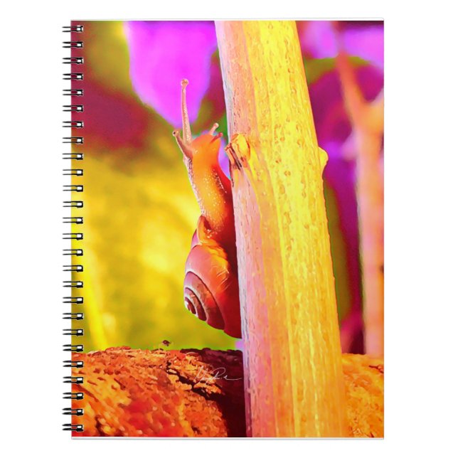 Caderno Espiral Caracol (Frente)