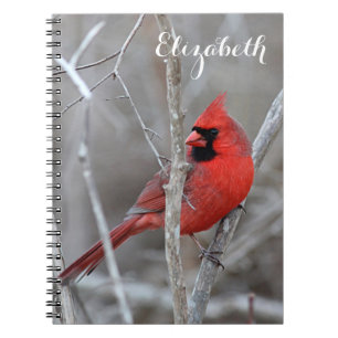 Caderno Espiral Cardeal do norte