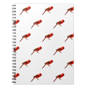 Caderno Espiral Cardeal(s)