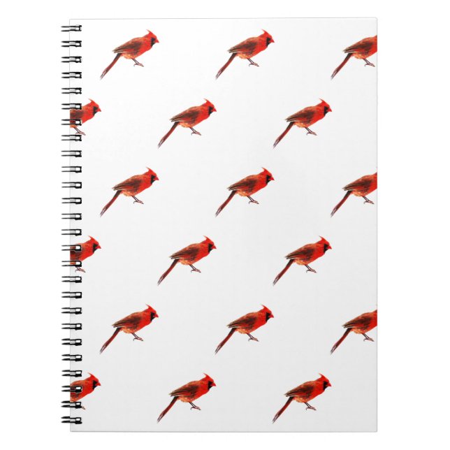 Caderno Espiral Cardeal(s) (Frente)