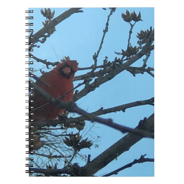 Caderno Espiral Cardinal (Frente)