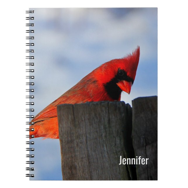 Caderno Espiral Cardinal Vermelho no Stump de Wooden Personalizado (Frente)