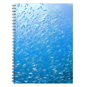Caderno Espiral Cardinalfishes que nadam debaixo d'água