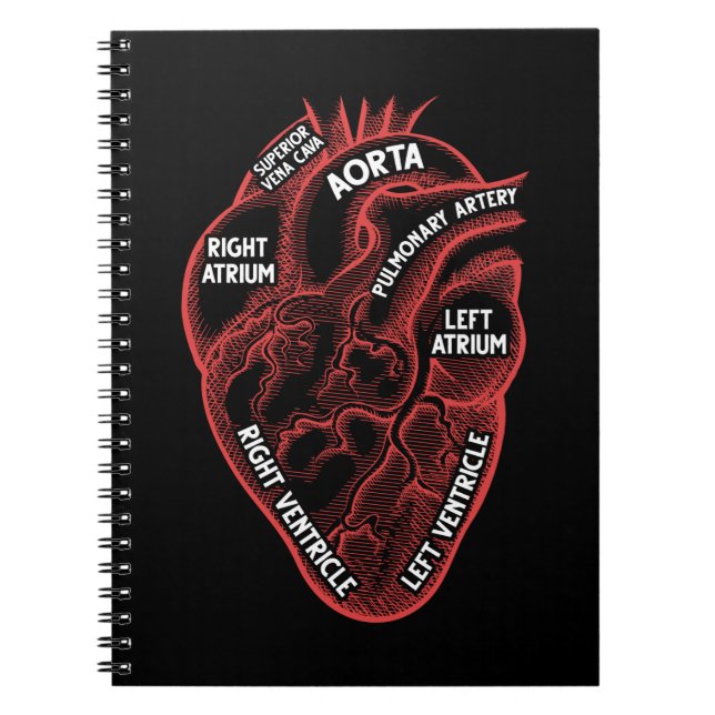 Caderno Espiral Cardiologia da Educação de Anatomia Cardíaca (Frente)