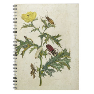 Caderno Espiral Cardos Spinosus: Besouros e lagartas, placa 6