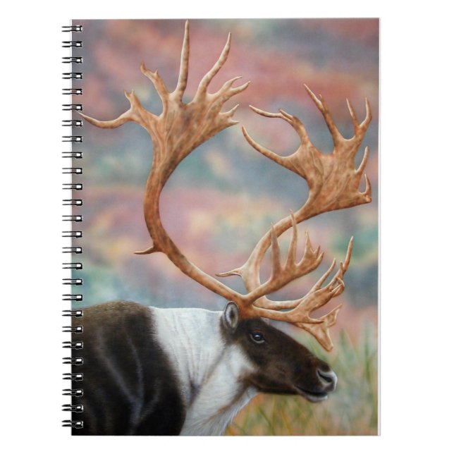 Caderno Espiral Caribe (Frente)