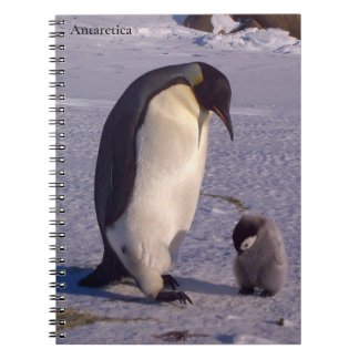 Caderno Espiral Carícia de pinguim-mãe da Antártica
