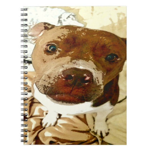 Caderno Espiral Carinha Doce (Frente)