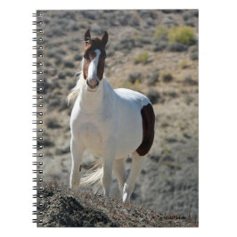 Caderno Espiral Carlitos da Bacia de Sand Wash