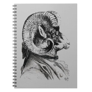 Caderno Espiral Carneiro De Porte