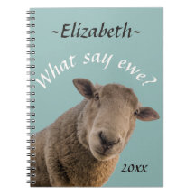 Carneiros os que dizem a ovelha? Personalizado