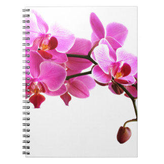 Caderno Espiral Carnet Orchidée