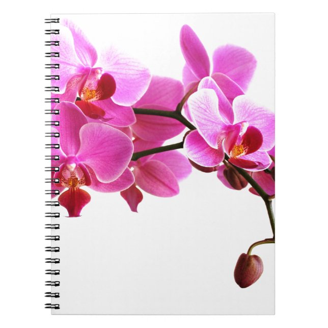 Caderno Espiral Carnet Orchidée (Frente)