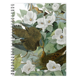 Caderno Espiral Carolina Pigeon Audubon Morning Dove