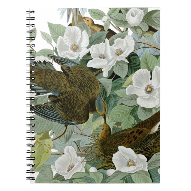 Caderno Espiral Carolina Pigeon Audubon Morning Dove (Frente)