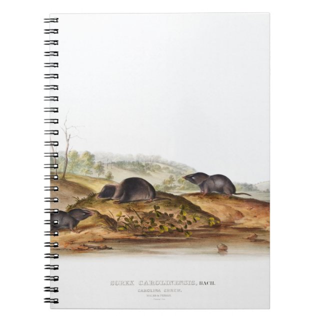 Caderno Espiral Carolina Shrew House (Frente)