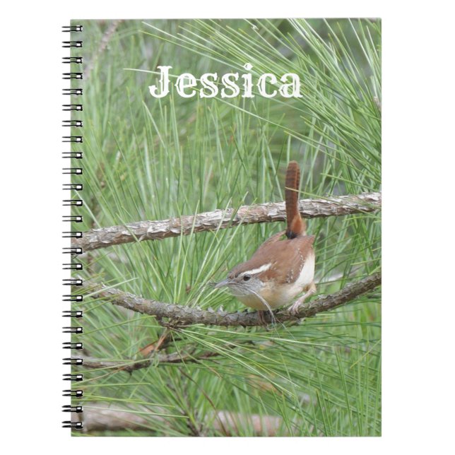 Caderno Espiral Carolina Wren em Pine Tree (Frente)