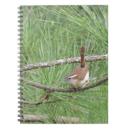 Caderno Espiral Carolina Wren em Pine Tree