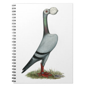 Caderno Espiral Carrier Pigeon 2012