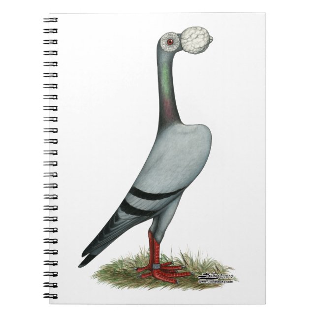 Caderno Espiral Carrier Pigeon 2012 (Frente)