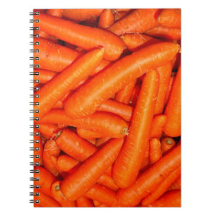 CADERNO ESPIRAL CARROÇARIA