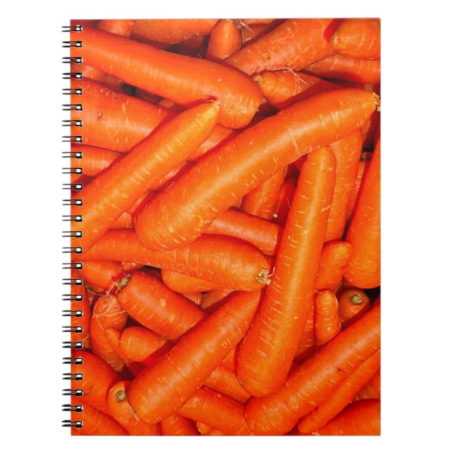 CADERNO ESPIRAL CARROÇARIA (Frente)