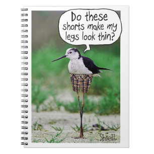 Caderno Espiral Cartão ou presente de AVES ENGRAÇADO