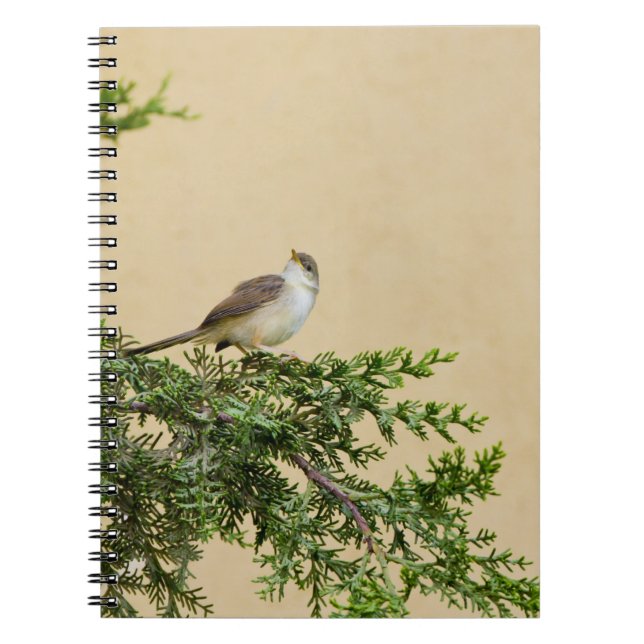Caderno Espiral Cartão-postal Sparrow (Frente)