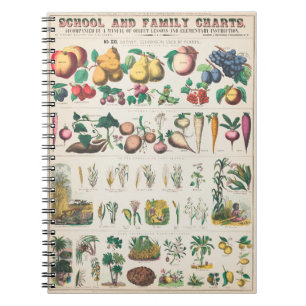 Caderno Espiral cartaz botânico de legumes