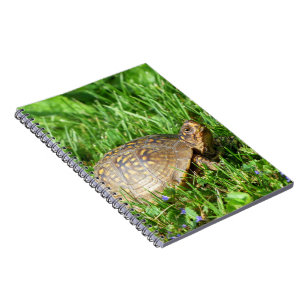 Caderno Espiral Cartucho