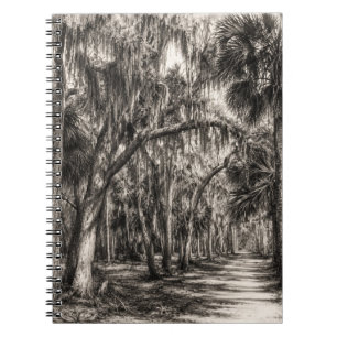 Caderno Espiral Carvalho Antigo da Flórida Hammock Esboço Grafite
