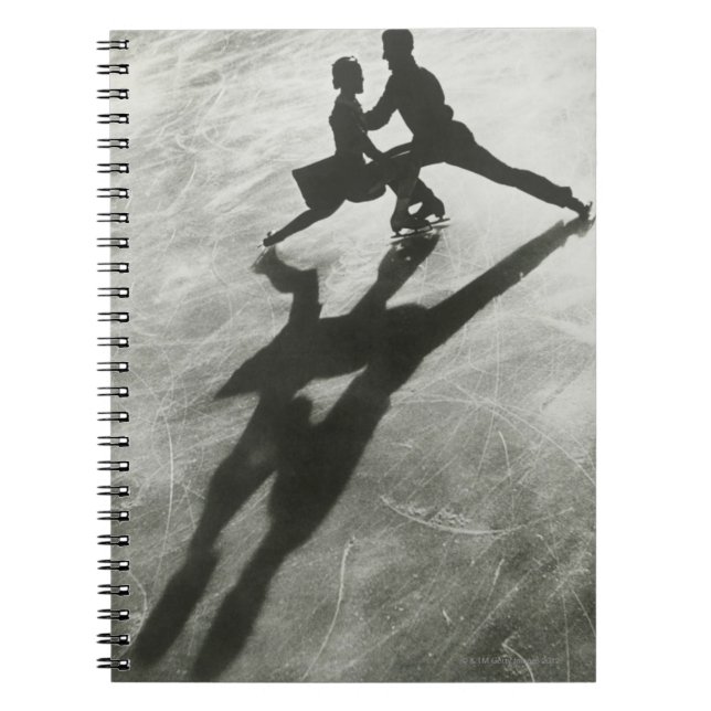 Caderno Espiral Casal de Pele de Gelo (Frente)