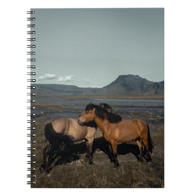 Caderno Espiral Casal HORSE (Frente)