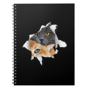 Caderno Espiral Casal Sweet Kitten Presente De Gato De Gato Engr