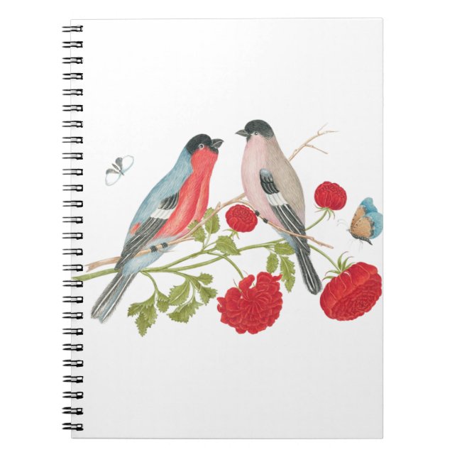 Caderno Espiral Casamento | Casamento | Aves Coloridas | Aves (Frente)