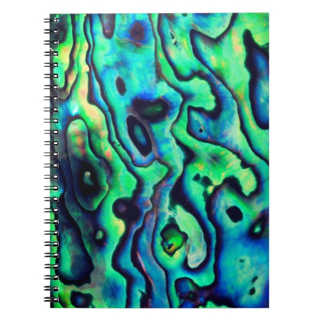 Caderno Espiral Casca azul-verde do abalone (Frente)