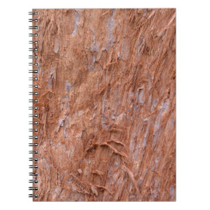 Caderno Espiral casca de árvore na floresta