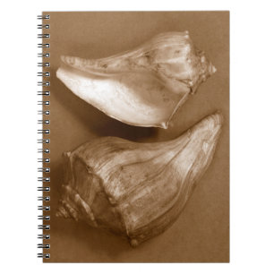 Caderno Espiral Cascas Sensuais