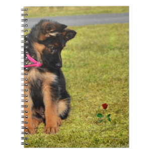 Caderno Espiral CassieRose.Redig.jpg
