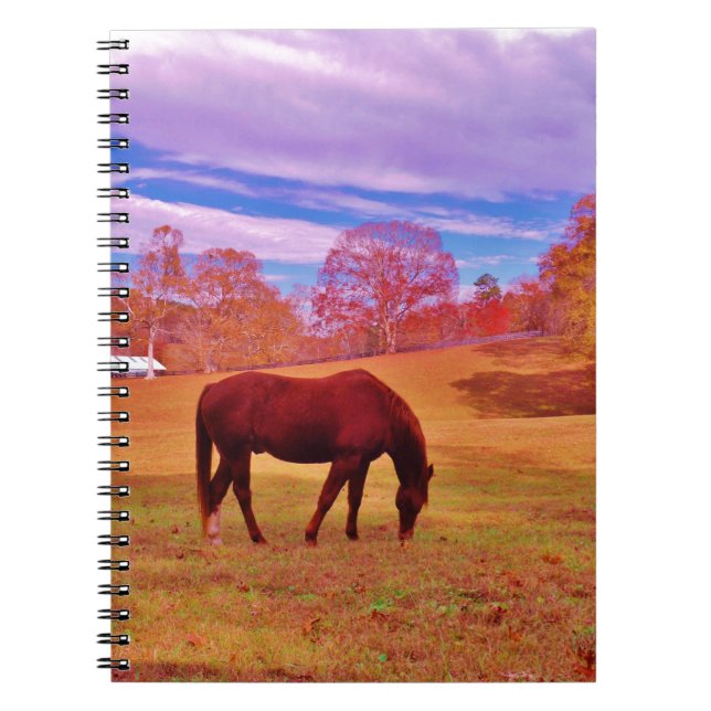 Caderno Espiral > Castanho em um campo de cor sonâmbulo (Frente)