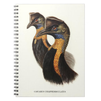 Caderno Espiral Casujas de norte, aves Vintage