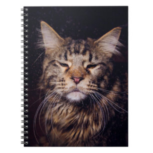 Caderno Espiral casulo de camarão preto, jovem ganimal,cat,c